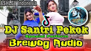 DJ VIRAL TERBARU 🔥SANTRI PEKOK🔥 SPESIAL PERFORM ❗BREWOG AUDIO❗COCOK UNTUK CEK SOUND ‼️BASS GLEERRR‼️