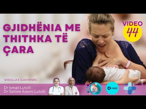 SHKOLLA E GJIDHËNIES|Video 44: GJIDHËNIA ME THITHKA TË ÇARA