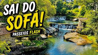 SAI DO SOFÁ… não imaginas o que vais ver neste Passeio Flash