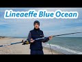 Удилище для ловли пеленгаса Lineaeffe Blue Ocean 4.2м до 250гр.