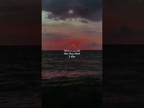 Birds Of A Feather - Billie Eilish #Shorts #shortvideo