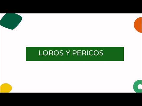 Taller de Identificación de Aves de la Amazonía Sesión IV hqdefault