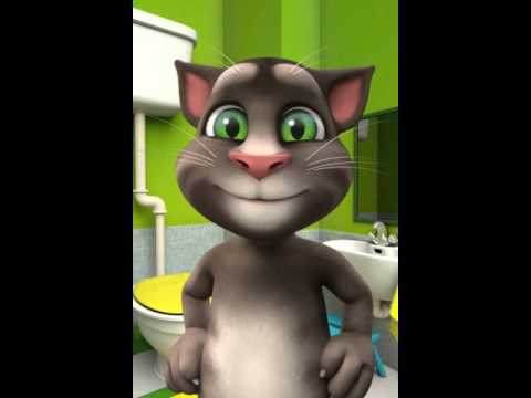 Поздравление от кота видео фото 124