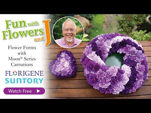 Flower Forms with Moon® Series Carnations! v1 1080p