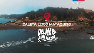 Caleta Llico Mataquito - Turismo