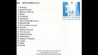 Sia - Butterflies  Instrumental