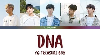 YG TREASURE BOX - 'DNA' Color Coded Lyrics (Eng/Rom/Han)