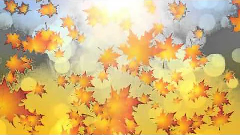 Motion Graphics - Autumn Leaves Falling | VideoHive
