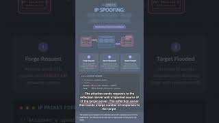#SEC 0071 - Why DRDoS Attacks Are Scary and Cunning | Can Legitimate Servers Become a Hacker's We...