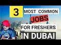 3 MOST COMMON JOBS FOR FRESHERS/  NEW IN DUBAI, UAE |  AFRICANS | NIGERIA | GHANA | CAMEROON |OTHERS