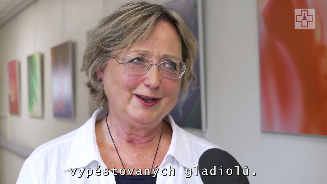 Vernisáž na oddělení následné péče Krajské nemocnice Liberec...