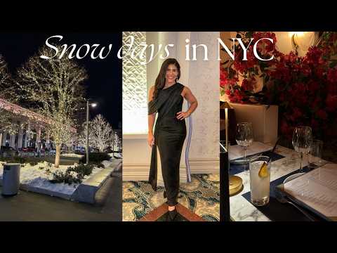 Living Alone in NYC | Days in my Life Vlog, Snow Days, Benito Bowl!