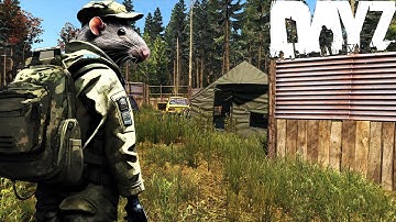 DayZ Solo Rat SNIFFS for LOOT on Official Server #dayz