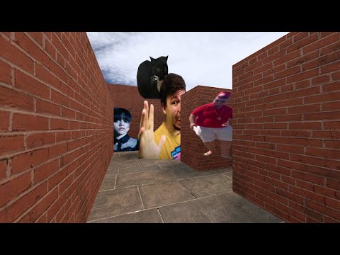 Mr Beast, Maxwell Cat and Wednesday - Storm in the Maze (Gmod)