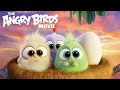 The angry birds movie  happy mothers day from the hatchlings