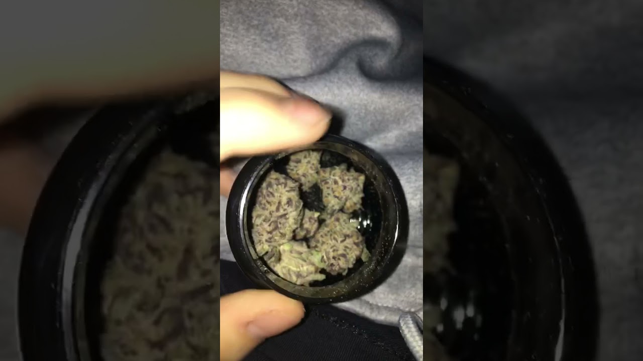 GLeaf Medical Marijuana Purple Punch