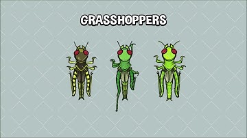 top down grasshopper animation preview