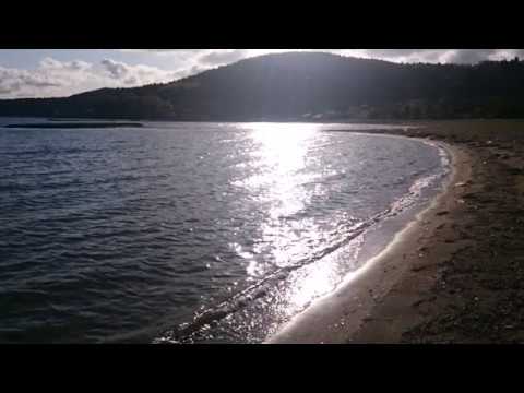 チャイコフスキー　白鳥の湖　#フルート #クラシック #名曲 #Flute