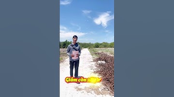 Bất động sản giá rẻ tại tp huế #batdongsan #muabandatgiare #batdongsanhue