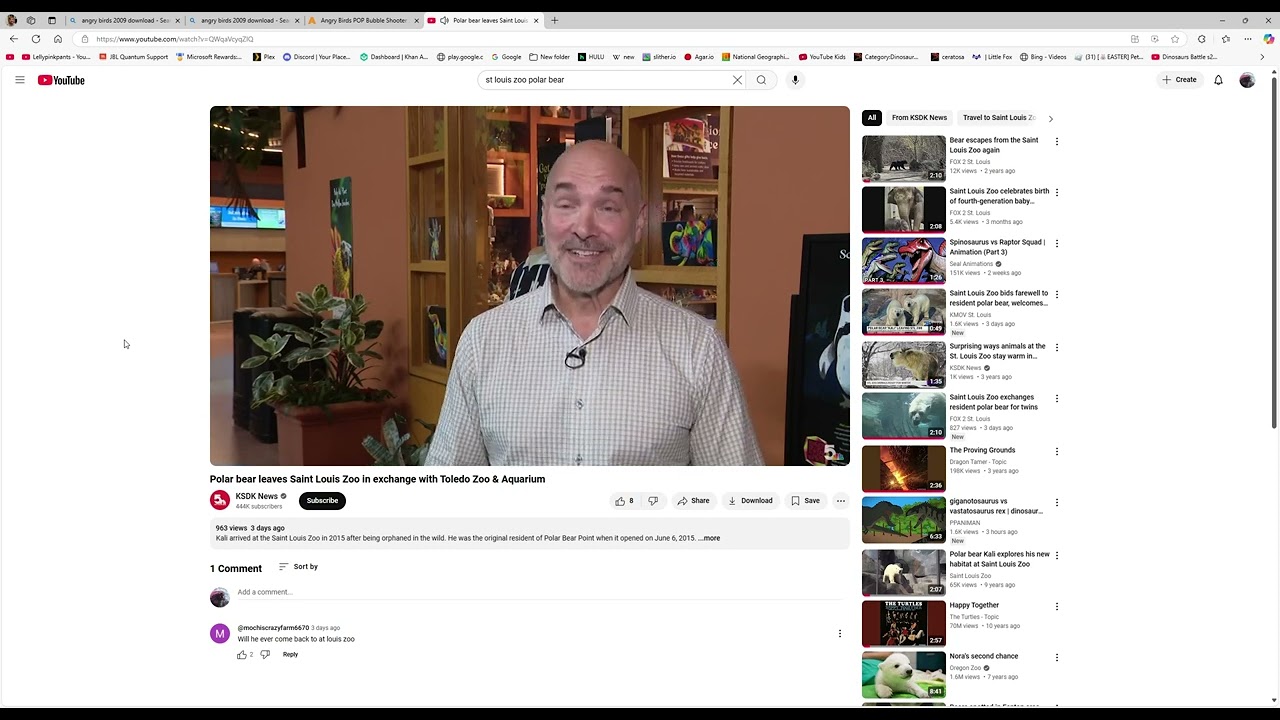 Saint Louis ZOO POLAR BEAR KALI