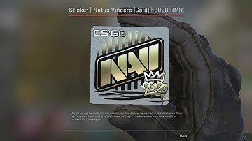 NaVi 2020 RMR Gold