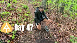 Day 47 | Another Milestone | Appalachian Trail 2024