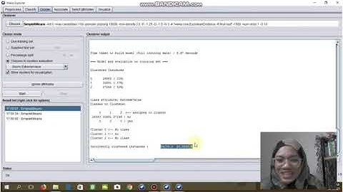 Data Mining Process: Heart Disease and Stroke Prevention