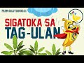 Paano Labanan ang Sigatoka sa Saging? (Rainy Season Solution)