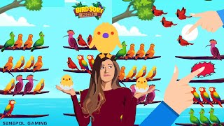 #gameshorts Bird sort color puzzle (Mobile Gameplay) screenshot 5
