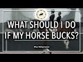 WHAT SHOULD I DO IF MY HORSE BUCKS? - Dressage Mastery TV Episode 180