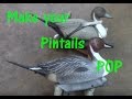 How to repaint old Pintail decoys