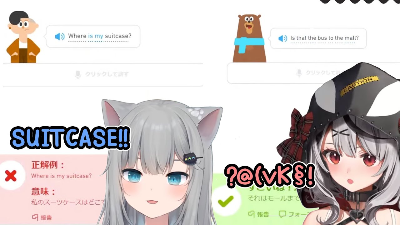 Похоже, Duolingo предпочитает косаток кошкам...