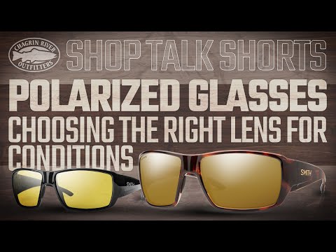 what color polarized lens is best for fishing