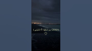 سورة مريم (٢٣ - ٢٤) - القارئ شريف مصطفى🍃.