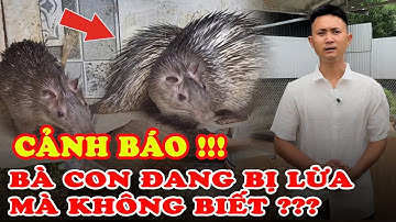 Cảnh Báo ! Bà Con đang bị lừa mà không biết