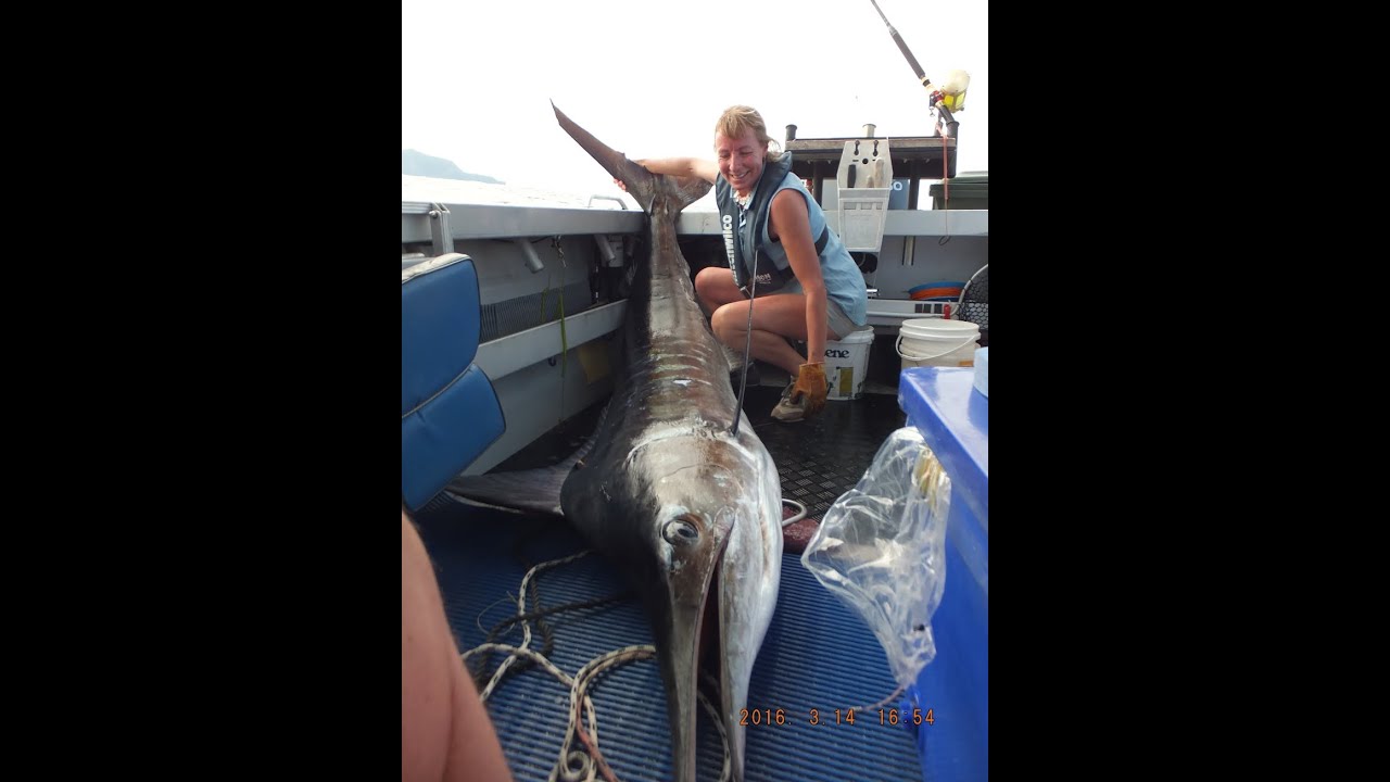 Fishing a kahawai live bait for a big fish YouTube