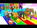 Crossing Fountain Transformation with Elephant Mammoth, Gorilla, Tiger, Hippo, Zombie T-Rex