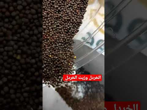 الخردل وزيت الخردل الطبيعي 