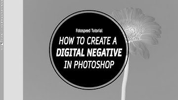 Create a perfect DIGITAL NEGATIVE // Fotospeed Tutorial