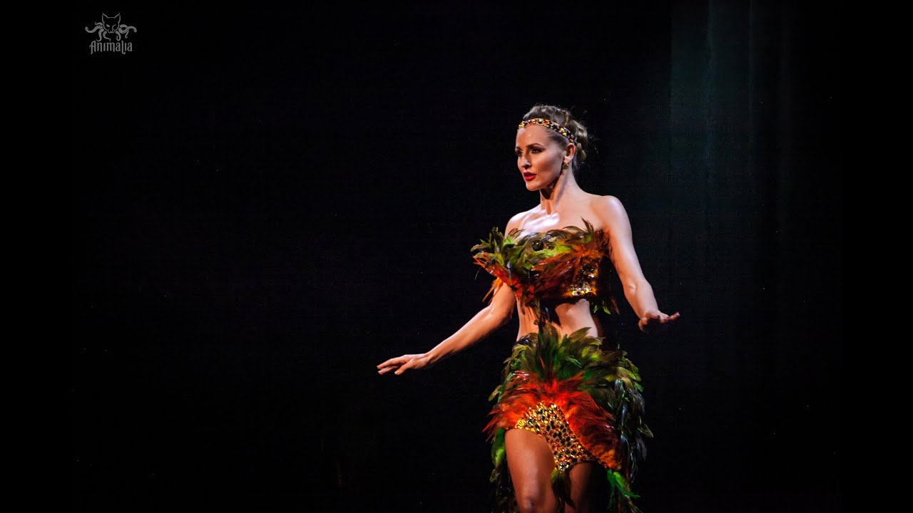 COLIBRI | KREMUSHKA | J-TEAM FEST 2024 | ANIMALIA SHOW