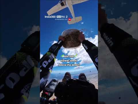 What if a skydive could grow a forest? 🌵 | Insta360 Ace Pro 2 #shorts