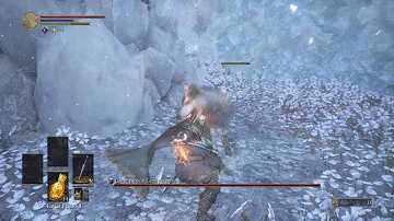 SL1 Champion's Gravetender & Greatwolf Boss Kill