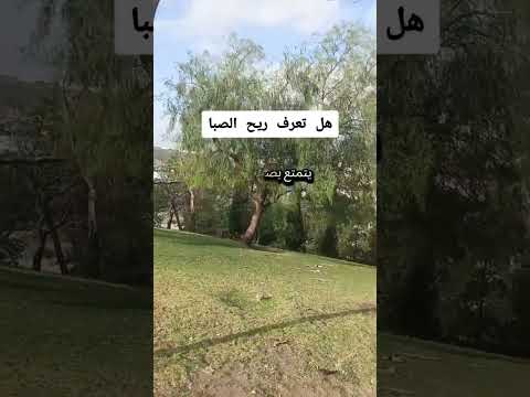 ريح الصبا ومعناها شرح قرآني معاني القرآن ريح الصبا  