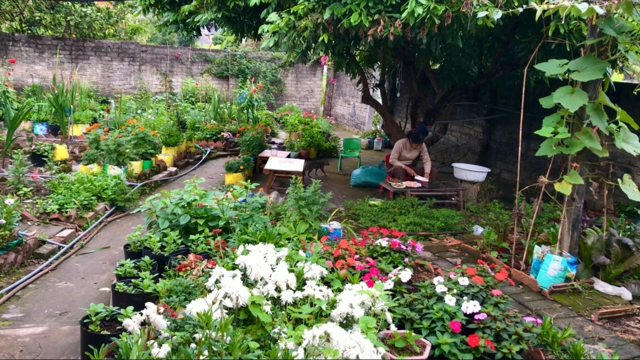 Một Ngày Ở Nông Thôn - Daily Life In Vietnam Countryside