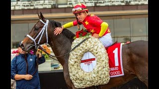 Todd Pletcher's Top 20 Racehorses (1996-2025 Dirt )