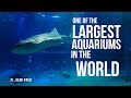 One of the largest public Aquariums in the world!