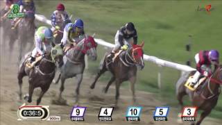 20160930 렛츠런파크 부산경남 8경주 1400m