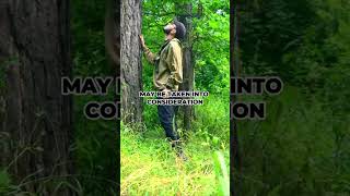 3 Unique Treehouse In Canada