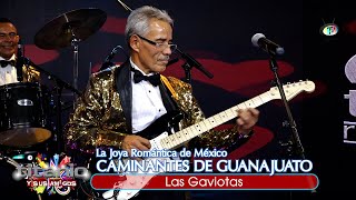 La Joya Romántica de México Caminantes de Guanajuato - Las Gaviotas (Video Oficial)