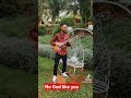 guitarist best